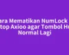 Cara Mematikan NumLock di Laptop Axioo agar Tombol Huruf Normal Lagi